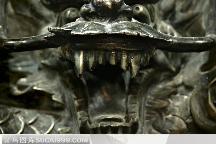 近距离拍摄的龙牙