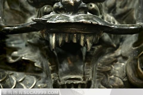 近距离拍摄的龙牙