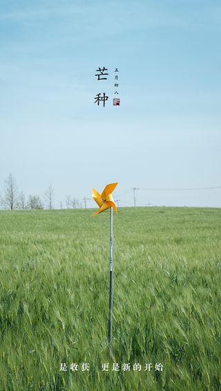 芒种节气手机海报psd模版下载