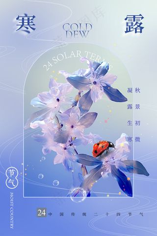 花卉寒露二十四节气海报