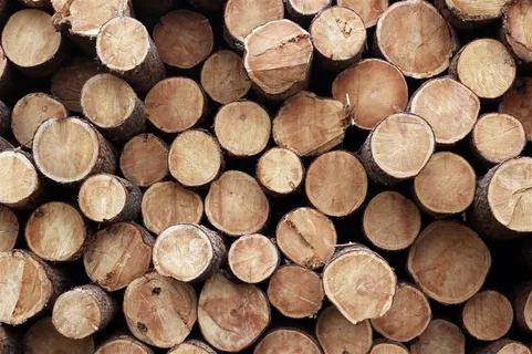 大量堆放在一起的圆木高清摄影素材图片