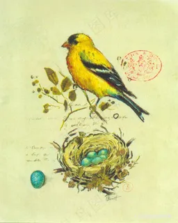 鸟窝小黄鸟高清油画