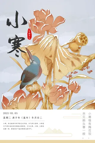 中国传统冬天小寒祝福24二十四节气节日宣传活动海报