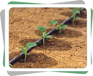 种植业现代农业