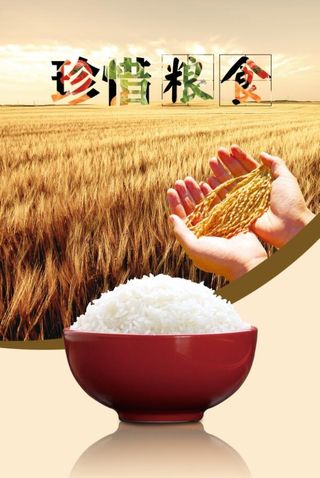 光盘行动节约粮食公益海报