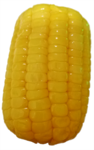 甜玉米水煮玉米免抠摄影元素素材