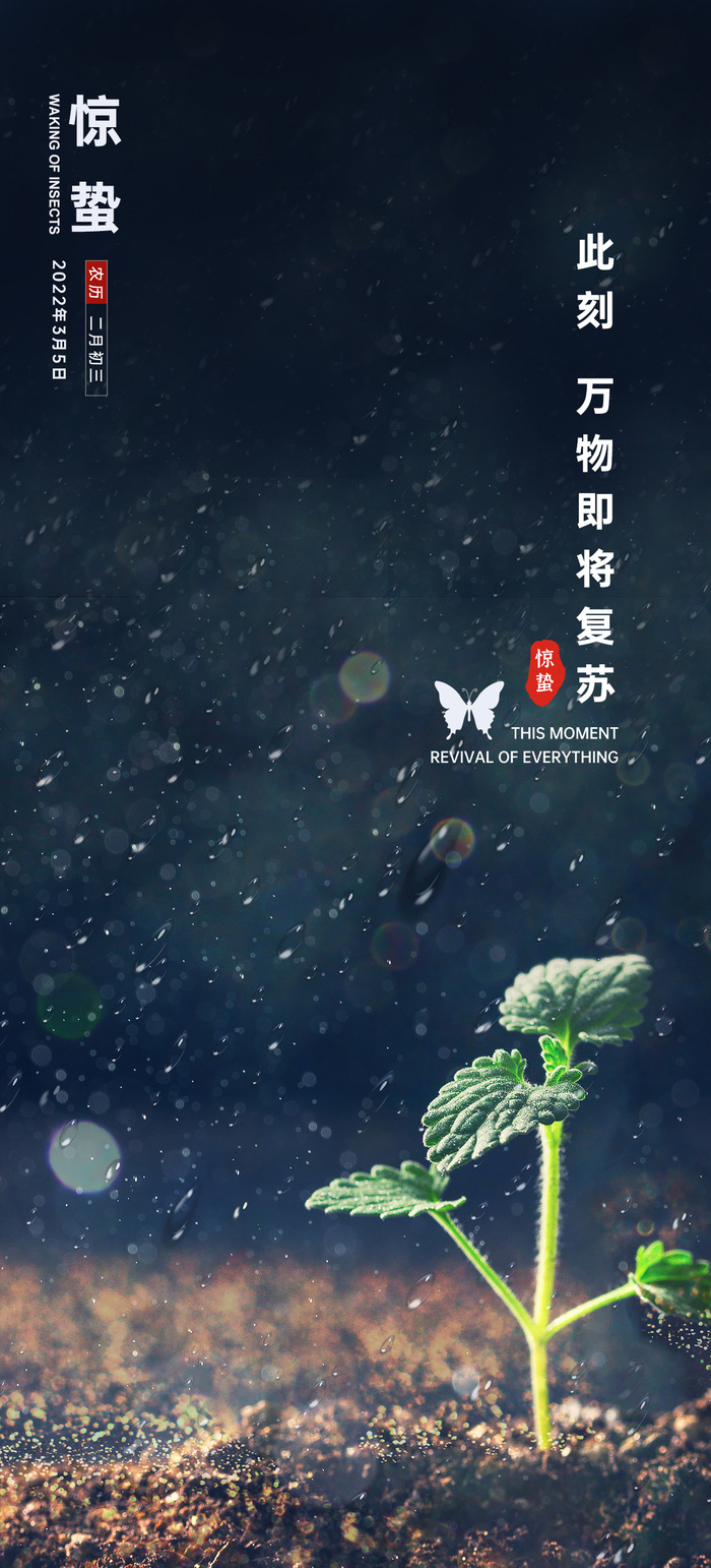 惊蛰节气海报设计PSD素材