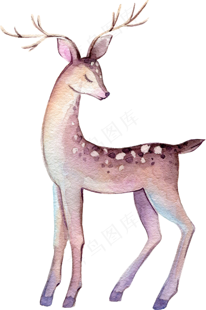 水彩插画-小鹿3