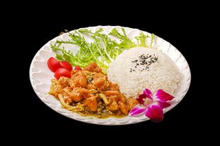 藤椒鸡块B餐饮快餐盖浇饭产品成品高清大图免扣