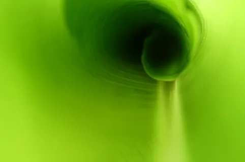 绿色背景植物素材图片 绿色背景植物素材图片