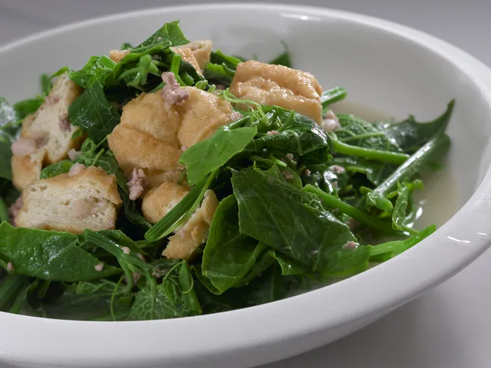 CXC05062汤南瓜苗1