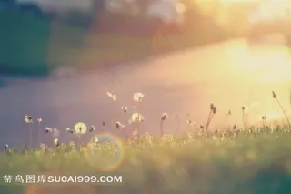 唯美朦胧感草原图片
