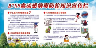 H7N9禽流感防控知识禽流感预防 国家基本公共 基本公共卫生 