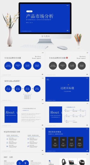 极致品牌——简约高端产品市场分析报告ppt模板预览图