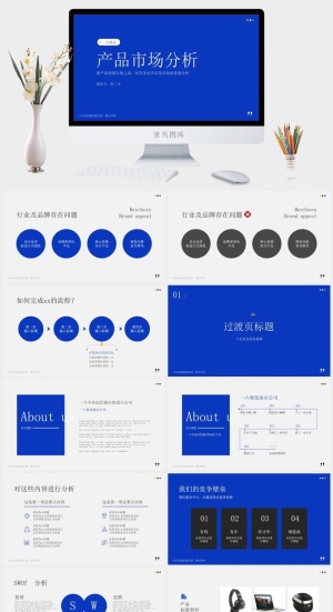 极致品牌——简约高端产品市场分析报告ppt模板