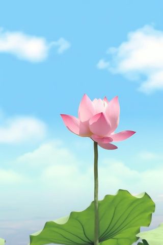 清新阳光荷花荷叶天空白云背景