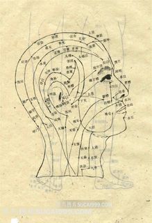 头颈部输穴主治示意图