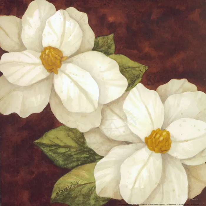 唯美花卉小白花油画