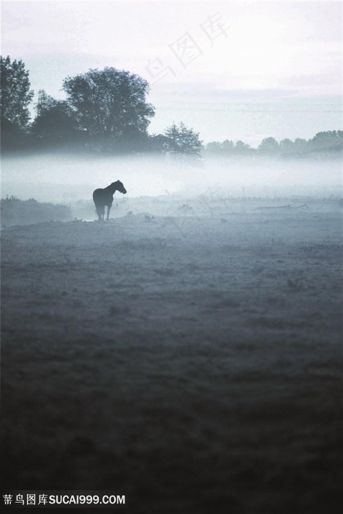 骏马湖畔美景风景画