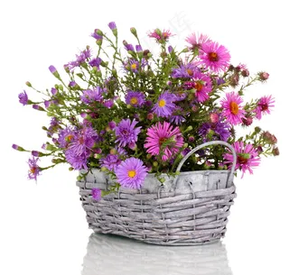 花篮里的花朵图片