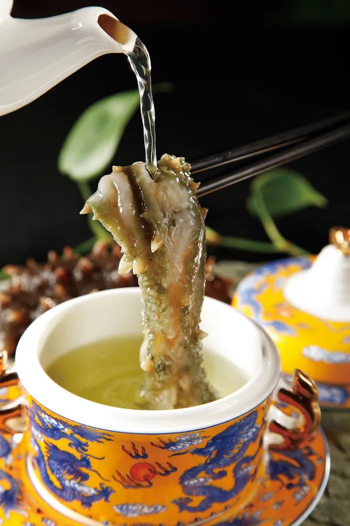 昆布冲浪活海参