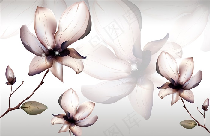 兰花花开壁纸
