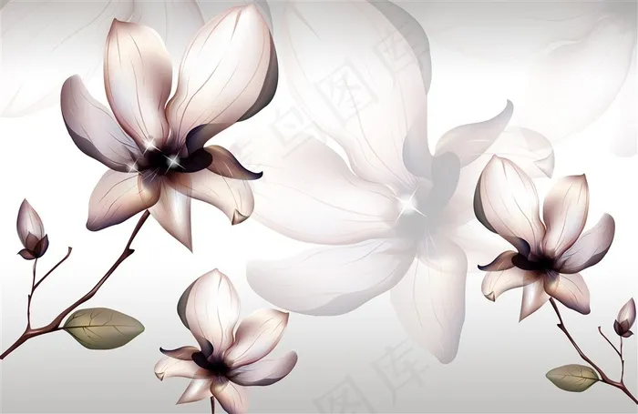 兰花花开壁纸