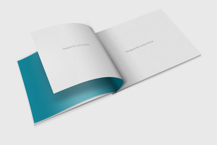 产品画册提案效果样机模板