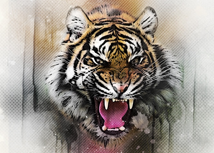 老虎水彩肖像图片