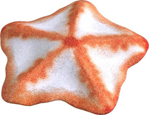 海星 PNG免抠(500x387)