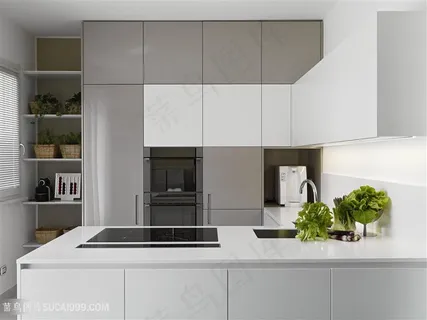 厨房室内装修效果 厨房室内装修效果