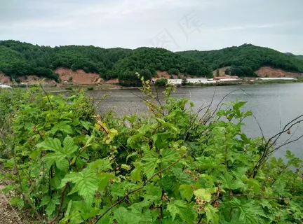 山水形成的绿色背景