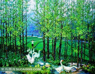 乡村田园树林鸭子图片