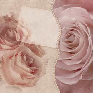 高清玫瑰贺卡图片下载