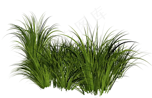 草地免扣png  