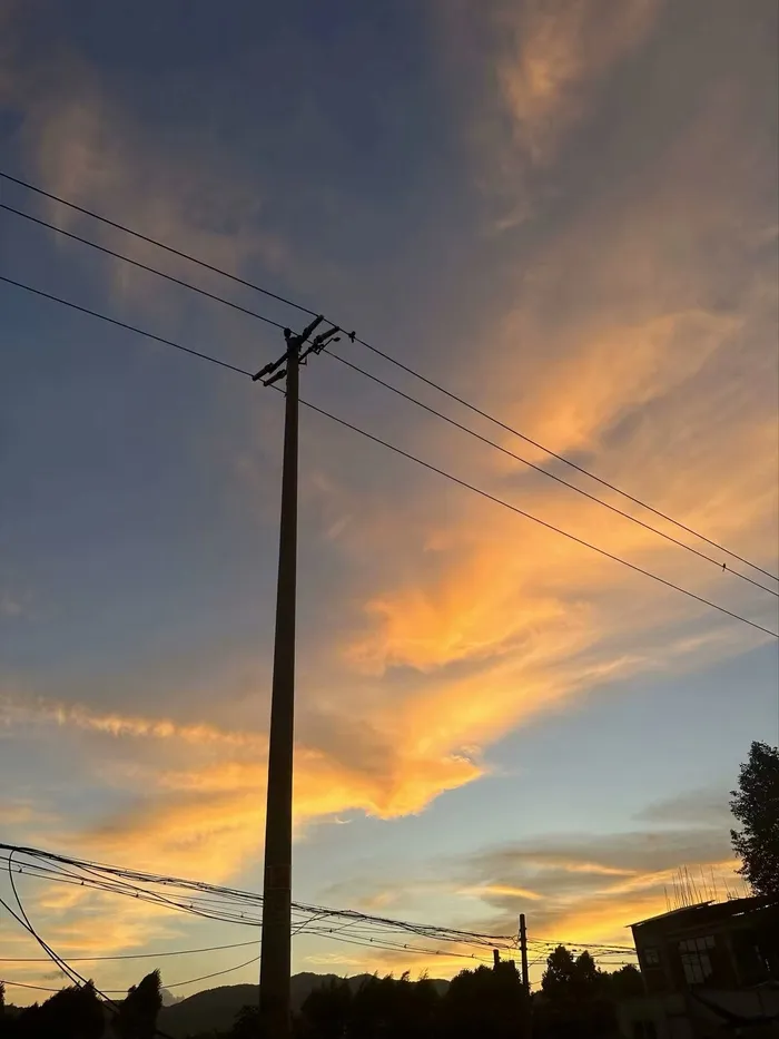 电线与金色云彩风景图