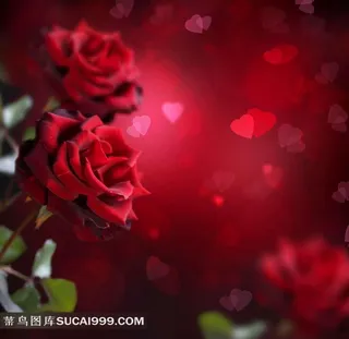 高清红玫瑰梦幻背景图片下载