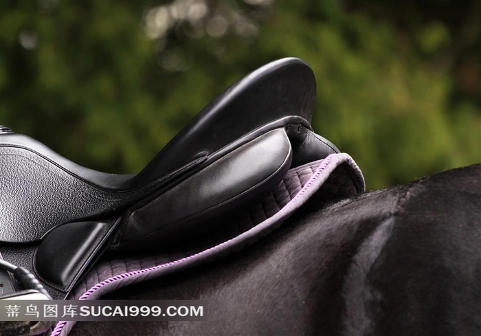 精致的马鞍图片