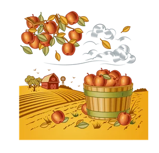 现代农业收获苹果