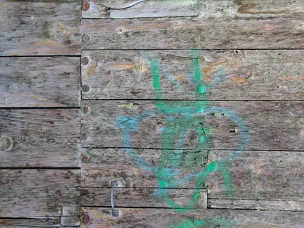 各式背景 1556 各式背景 1556