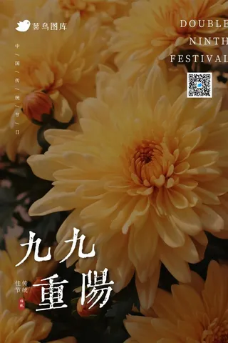 重阳节意境岁月菊花暗沉海报