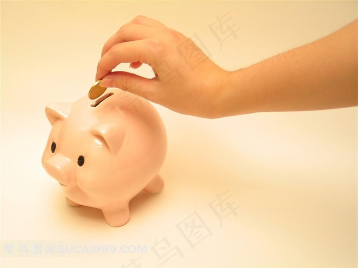 猪仔储钱罐图片素材
