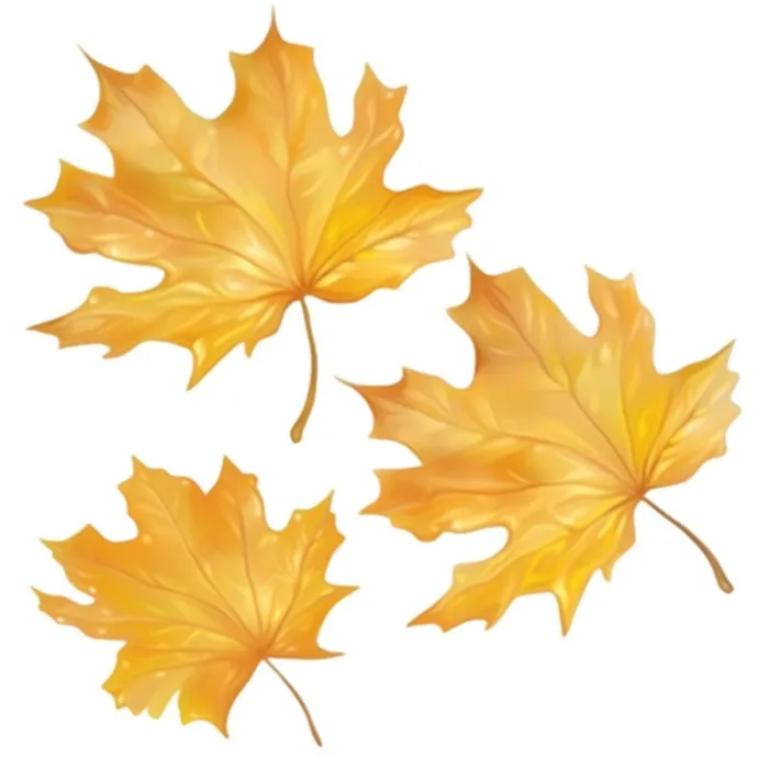 黄色的叶子免抠(1024x1024)
