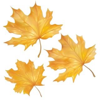 黄色的叶子免抠