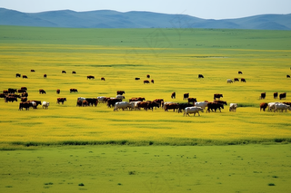 草原上的牛羊远山摄影图