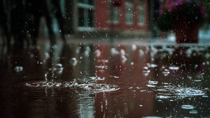 下雨天的雨滴图片