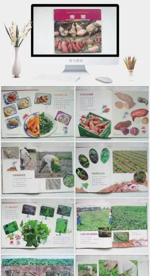番薯幼儿园绘本故事ppt模版预览图