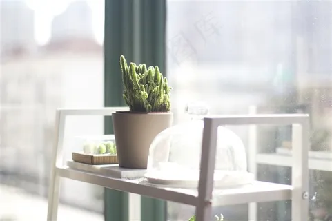 好看唯美的多肉植物 好看唯美的多肉植物