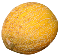 63_melon_PNG14364