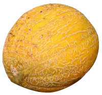 63_melon_PNG14364